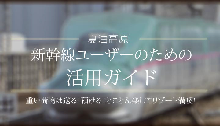 ツリーランエリア